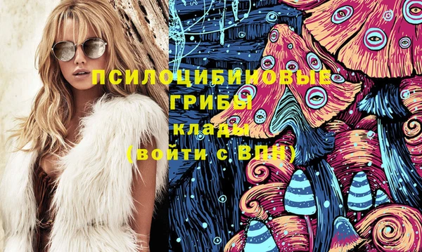 спиды Армянск